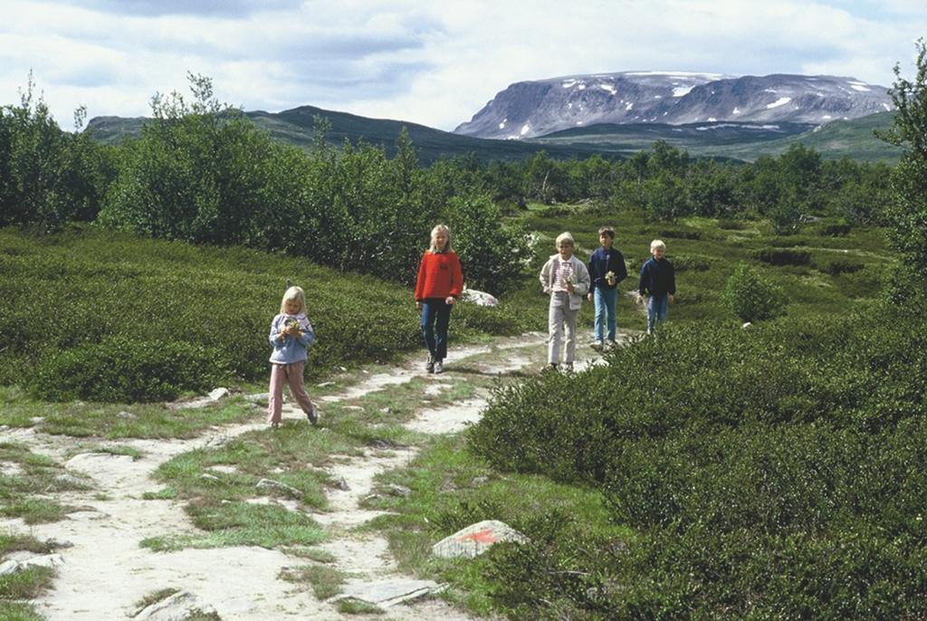 Lia Fjellhotell Geilo Dış mekan fotoğraf